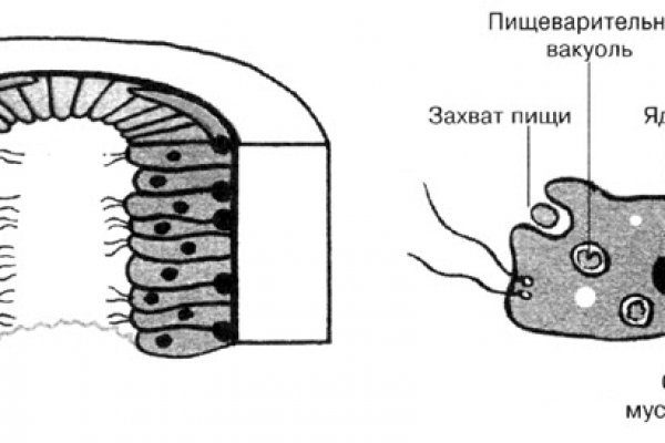 Кракен марке даркнет