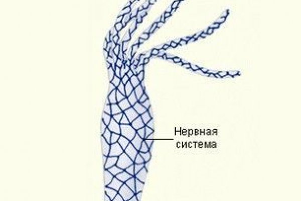 Как зайти на кракен через тор браузер