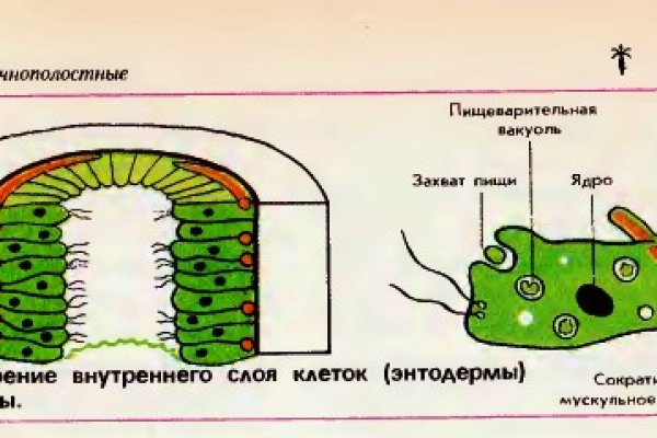 Официальный сайт даркнет
