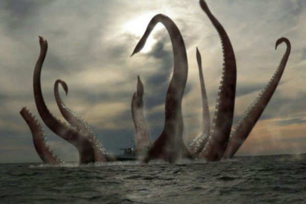 Ссылка для входа на сайт kraken