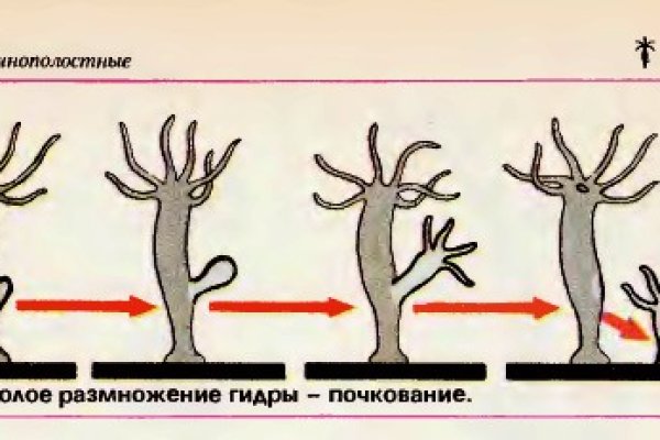 Кракен актуальная ссылка на сегодня