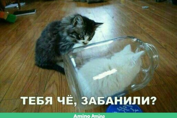Официальный сайт даркнета