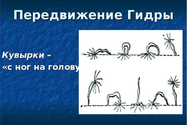 Kraken в россии