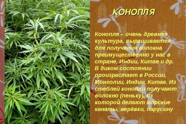 Кракен сайт магазин kraken clear com
