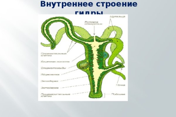 Кракен войти