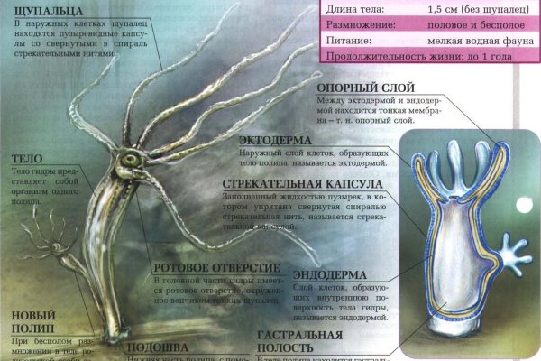 Кракен меф