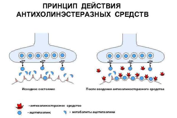 Кракен маркетплейс 2025